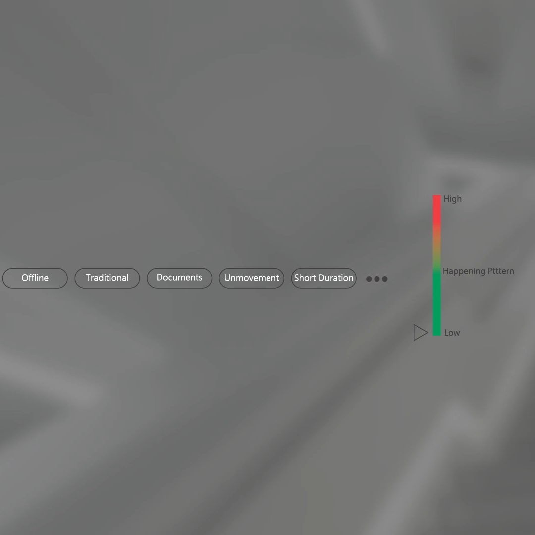 00003.mp4