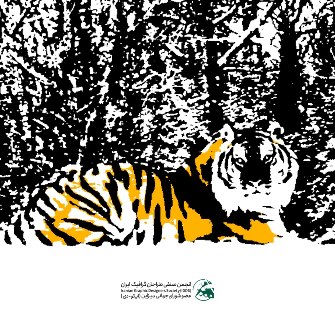 Title Design — example from the ZIBADIS motion archive